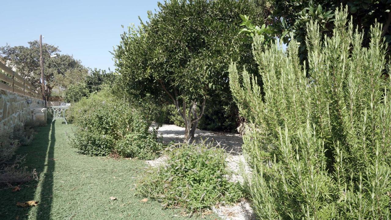 Studio Ioanna - Oasis Holiday Houses Κόκκινος Πύργος Εξωτερικό φωτογραφία