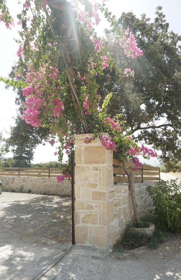 Studio Ioanna - Oasis Holiday Houses Κόκκινος Πύργος Εξωτερικό φωτογραφία